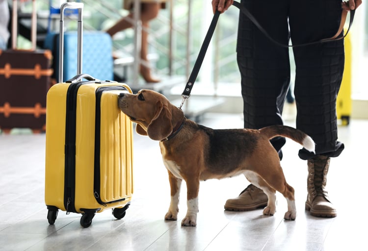 Enhancing Safety with Heating Innovations in Explosives Detection